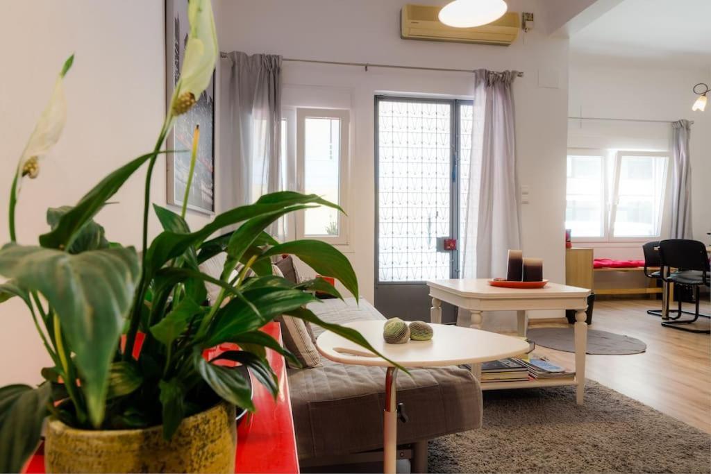 Apartment Renovated, Open And Functional Old House *